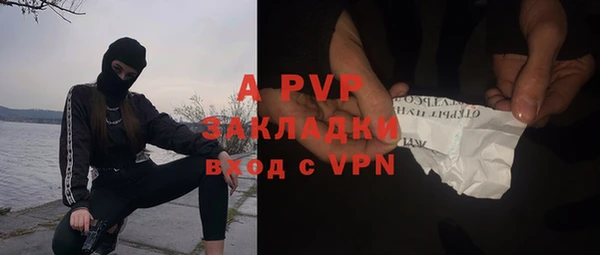 прущие грибы Хадыженск