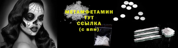 прущие грибы Хадыженск