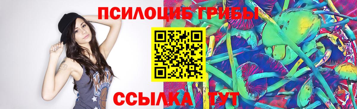 Псилоцибиновые грибы мицелий Петропавловск-Камчатский