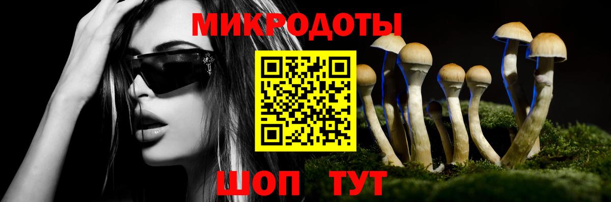 Петропавловск-Камчатский  Псилоцибиновые грибы Magic Shrooms  Псилоцибиновые грибы Magic Shrooms  Вход с VPN 