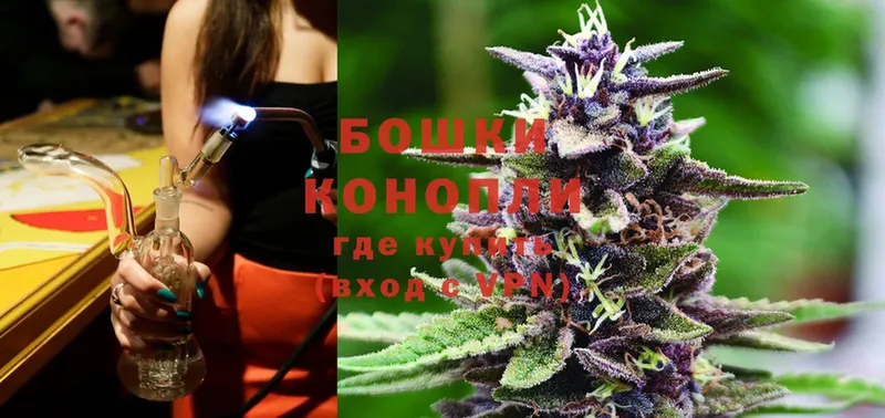 Бошки марихуана SATIVA & INDICA  площадка наркотические препараты  Петропавловск-Камчатский 